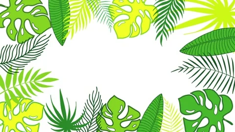 Tropical leaves frame of palm tree and monstera leaves Stock Footage 147349847