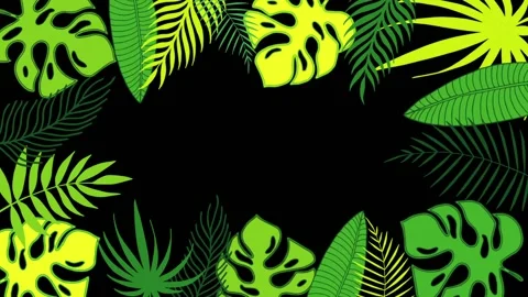 Tropical leaves frame of palm tree and monstera leaves on black background Stockbeeldmateriaal 147349887