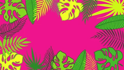Tropical leaves frame of palm tree and monstera leaves Stock Footage 147353604