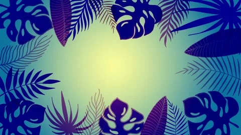 Tropical leaves frame of palm tree and monstera leaves Stock Footage 147356315