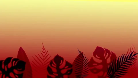 Tropical leaves frame of palm tree and monstera leaves Stock Footage 147454525