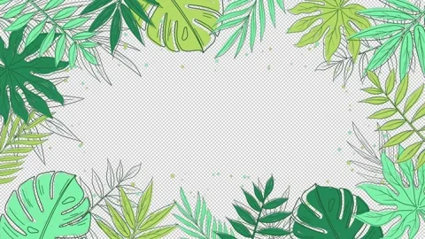 Tropical leaves frame on a transparent alpha channel background on a seamless Stock Footage 242422980