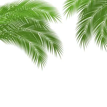 Tropical leaves Stock Illustration