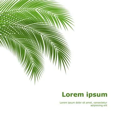 Tropical leaves Stock Illustration