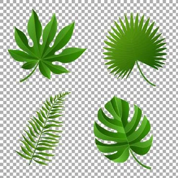Tropical Leaves Stock Illustration