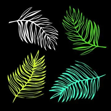 Tropical leaves Stock Illustration