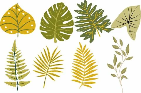 Tropical leaves Stock Illustration
