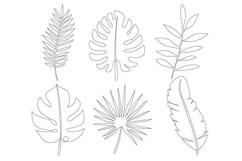 Tropical leaves Stock Illustration