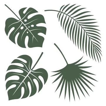 Tropical leaves Stock Illustration