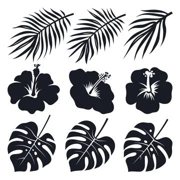 Tropical leaves Stock Illustration