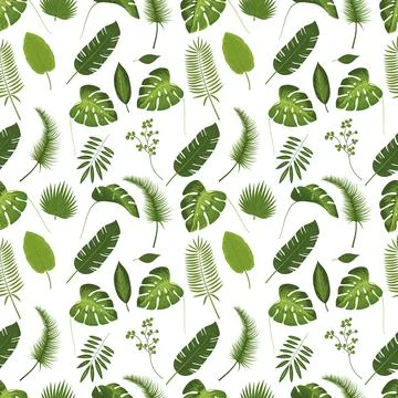Tropical leaves Stock Illustration