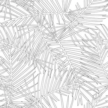 Tropical Leaves Outline on White Background Stock Illustration