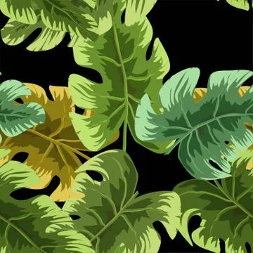 Tropical leaves pattern. Green leaf monstera seamless. Stock Illustration