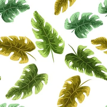 Tropical leaves pattern. Green leaf monstera seamless. Stock Illustration