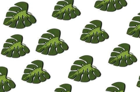 Tropical leaves pattern. Green leaf monstera seamless. Stock Illustration