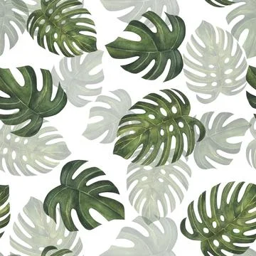Tropical leaves pattern. Green leaf monstera seamless. Artistic photo collage Stock Illustration