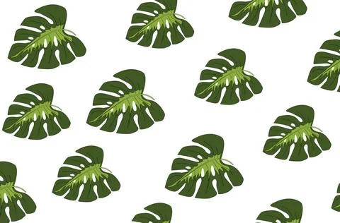 Tropical leaves pattern. Green leaf monstera seamless. Tropical leaves pat... Stock Photos
