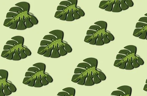 Tropical leaves pattern. Green leaf monstera seamless. Tropical leaves pat... Stockfoto's