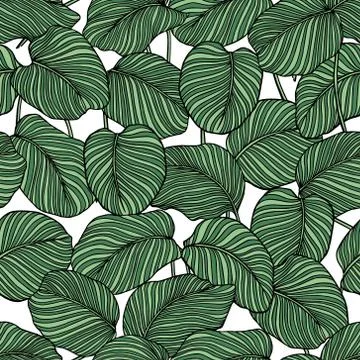 Tropical leaves pattern Illustrazione stock