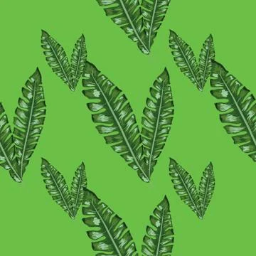 Tropical leaves realistic seamless pattern. Banana leaf and palm tree. イラスト素材