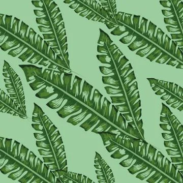 Tropical leaves realistic seamless pattern. Banana leaf and palm tree. Stock Illustration