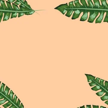 Tropical leaves realistic seamless pattern. Banana leaf and palm tree. イラスト素材