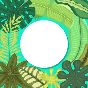 Tropical leaves round pattern vector illustration. Summer time. Amazing palms Illustrazione stock
