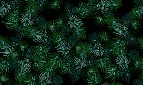 Tropical leaves seamless pattern. dark background. exotic tropical background. Stock Illustration