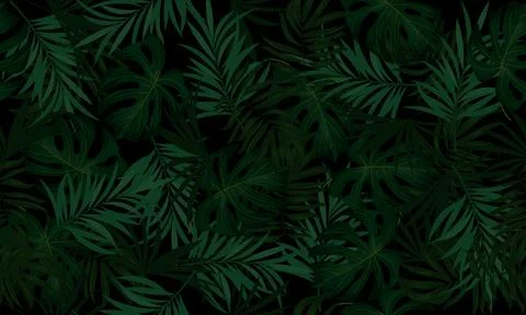 Tropical leaves seamless pattern. dark background. exotic tropical background. Stock Illustration