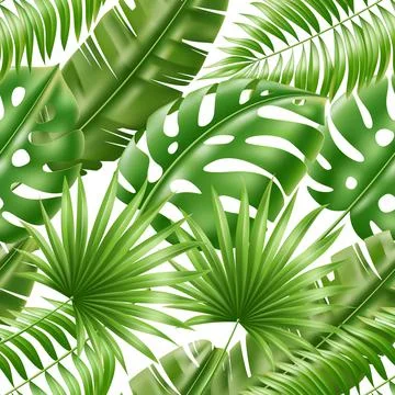 Tropical leaves seamless pattern. Exotic green palm foliage, realistic monstera Stock Illustration