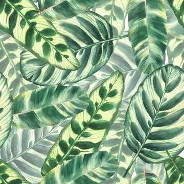 Tropical leaves seamless pattern, jungle plants green exotic foliage Watercolor Stock Illustration