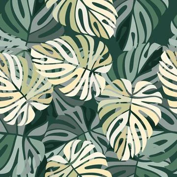 Tropical leaves seamless pattern. Monstera leaf background. Stock Illustration