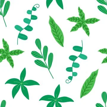 Tropical leaves seamless pattern on white background. Floral background. Hand Stock Illustration