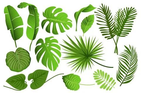 Tropical leaves set graphic elements in flat design. Bundle of different type イラスト素材