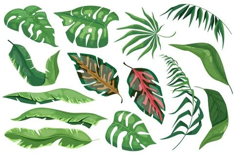 Tropical leaves set graphic elements in flat design. Bundle of different type Illustrazione stock