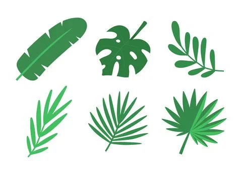 Tropical leaves set. Vector isolated elements on white. Stock Illustration