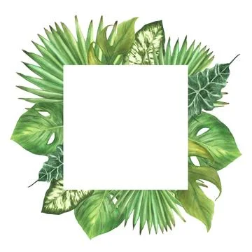 Tropical leaves square frame Various palm leaf end exotic creeper Watercolor Illustrazione stock