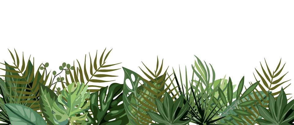 Tropical leaves vector background with copy space. Stock Illustration