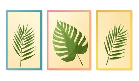 Tropical leaves vector illustration set with framed botanical elements 스톡 일러스트