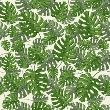 Tropical leaves vector seamless pattern with monstera Stock Illustration