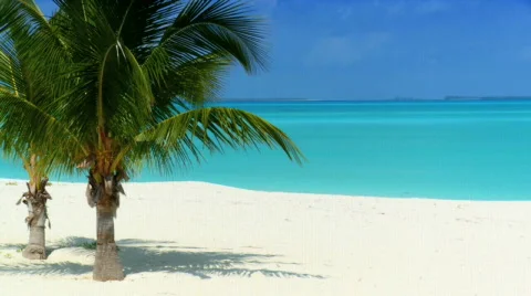 Tropical Lifestyle Stock Footage