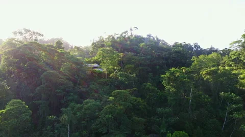 Tropical lodge, house between the trees of a forest with sun beams Stock Footage 196324583