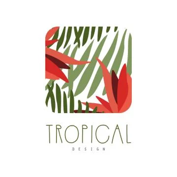 Tropical logo template design, square badge with palm leaves and red flowers Stock Illustration