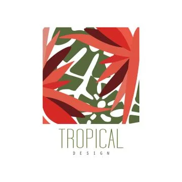 Tropical logo template design, square badge with palm leaves and red exotic Stock Illustration