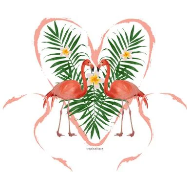 Tropical love Stock Illustration