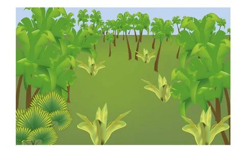 Tropical meadow Stock Illustration
