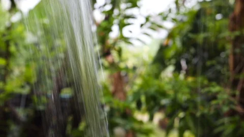 Tropical monsoon rain. Forest under the rain, rainwater close-up. Raindrops o Stock Footage 90562361