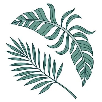Tropical Monstera Leaf Minimal Flat Vector Stock Illustration