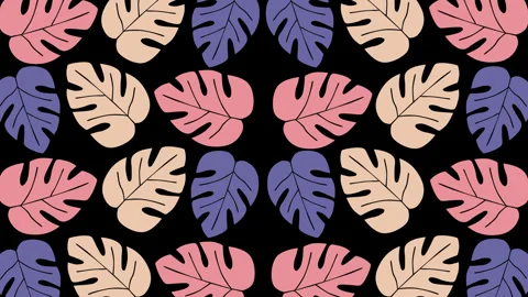 Tropical Monstera Leaf Seamless Pattern Background with Pastel Colors on Bla Stock Footage 340298444