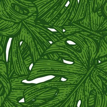 Tropical Monstera leaf seamless pattern. Jungle leaves background. Stock Illustration